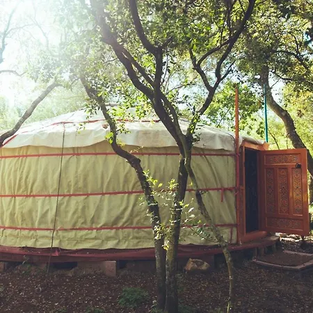 Tulpa Cadiz Campsite *
