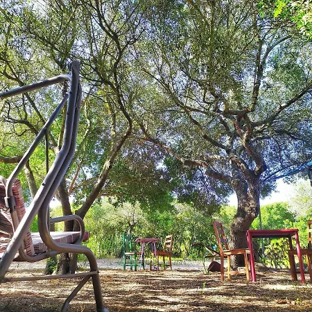 Tulpa Cadiz Campsite