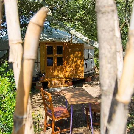 Campsite Tulpa Cadiz