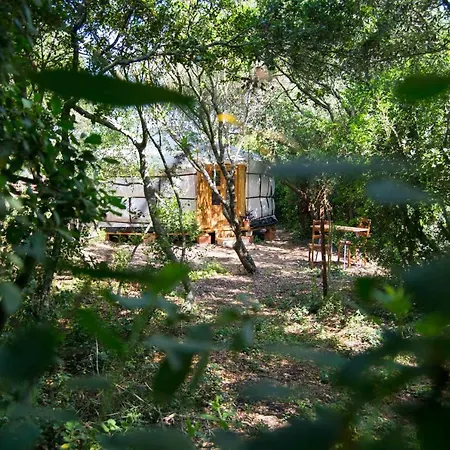 Tulpa Cadiz Campsite *