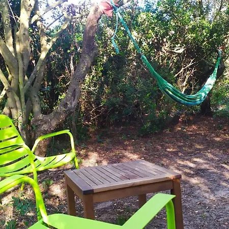 Tulpa Cadiz Campsite *