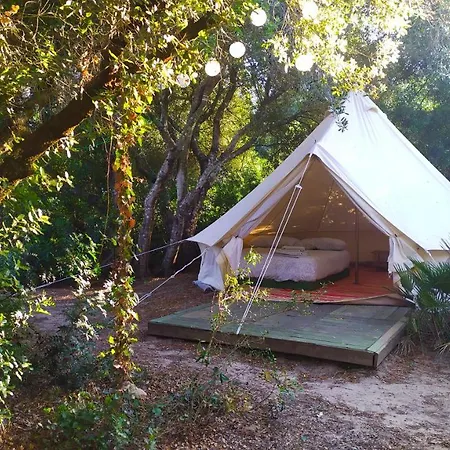 Campsite Tulpa Cadiz