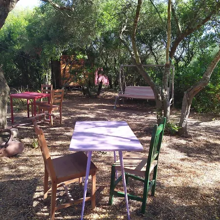 Tulpa Cadiz Campsite Malcocinado (Andalucia)