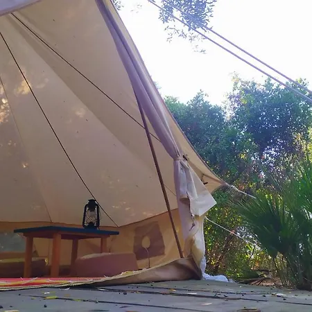 Campsite Tulpa Cadiz