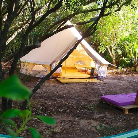Tulpa Cadiz Campsite *