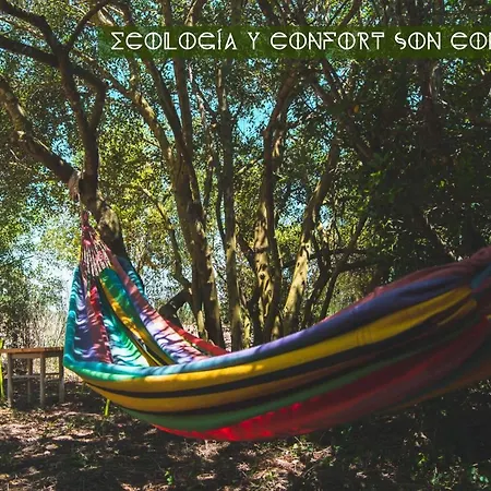 Tulpa Cadiz * Malcocinado (Andalucia)