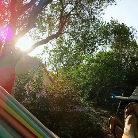 Tulpa Cadiz Campsite