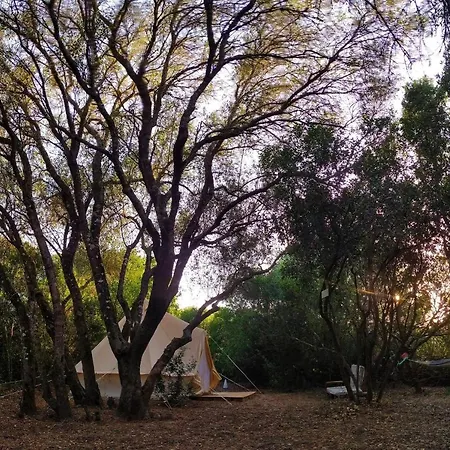 Campsite Tulpa Cadiz *