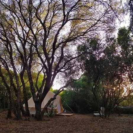 Campsite Tulpa Cadiz