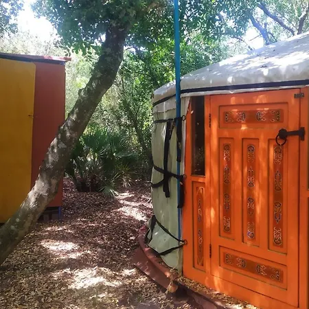 Tulpa Cadiz Campsite