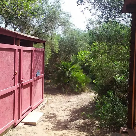 Campsite Tulpa Cadiz