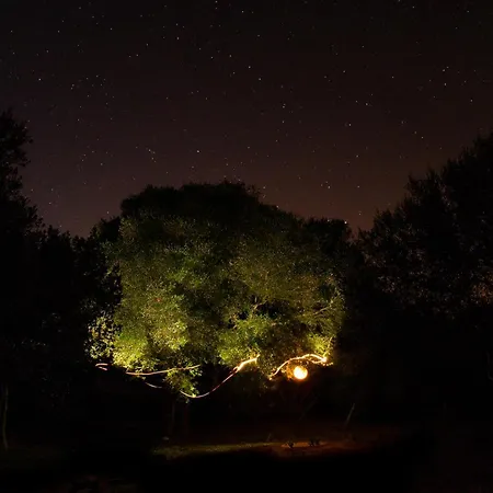 Campsite Tulpa Cadiz