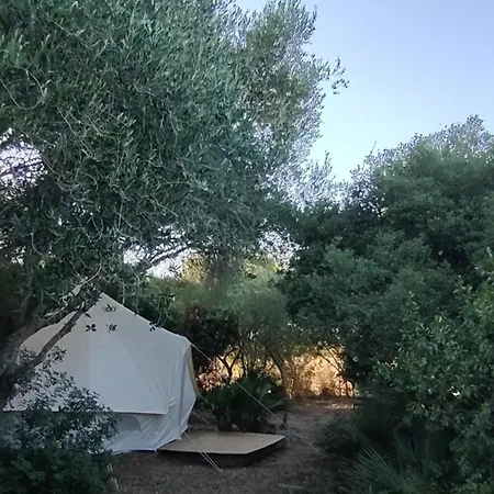 Campsite Tulpa Cadiz