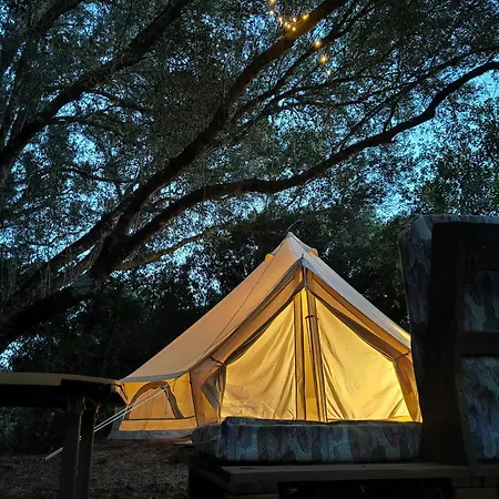 Tulpa Cadiz Campsite *