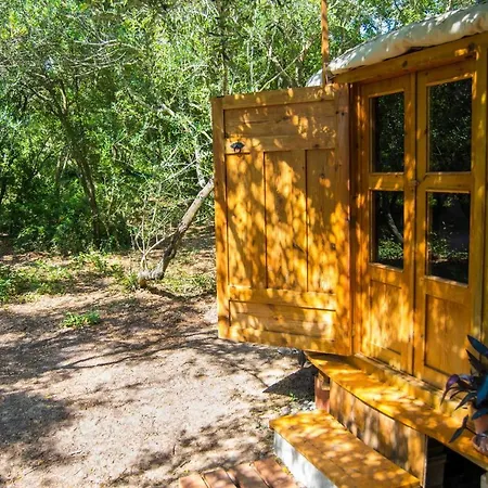 Campsite Tulpa Cadiz