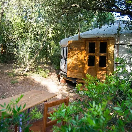 Tulpa Cadiz Campsite Malcocinado (Andalucia)