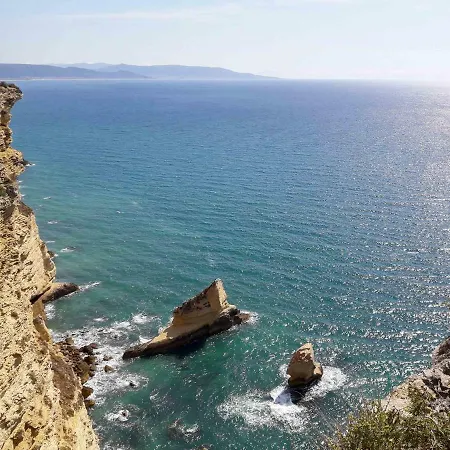 Tulpa Cadiz Malcocinado (Andalucia)
