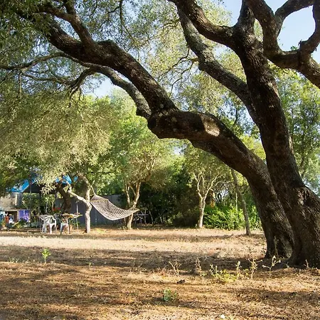 Tulpa Cadiz Campsite Malcocinado (Andalucia)