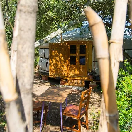 Campsite Tulpa Cadiz