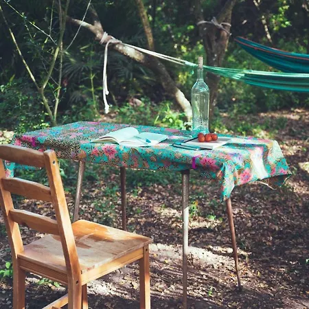 Tulpa Cadiz Campsite Malcocinado (Andalucia)