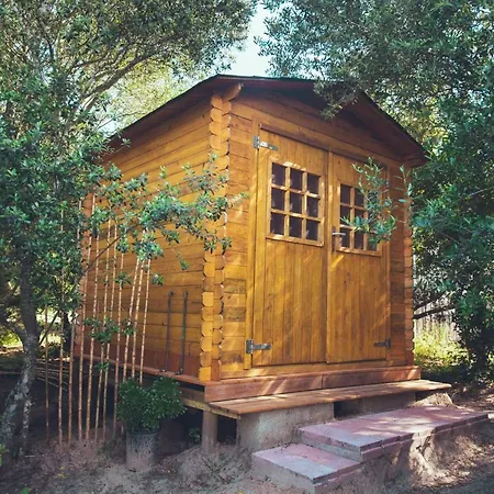 Tulpa Cadiz Campsite Malcocinado (Andalucia)