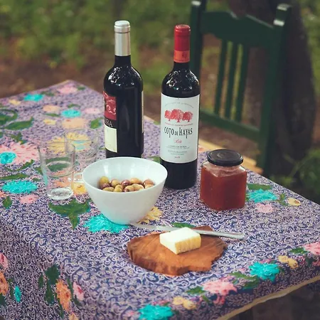 Tulpa Cadiz * Malcocinado (Andalucia)